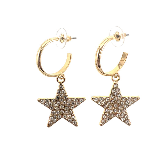 Earring-832