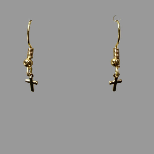 Earring-133